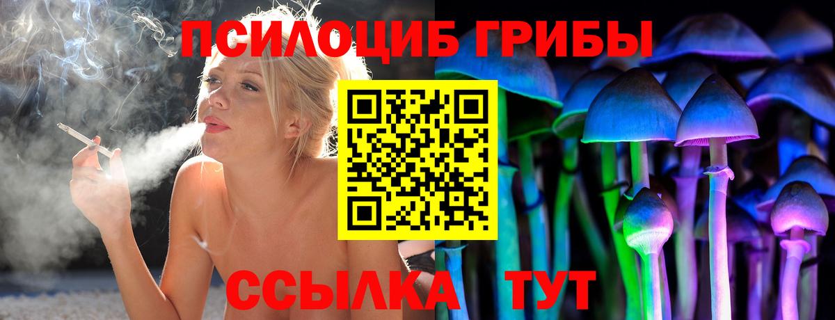 Галлюциногенные грибы GOLDEN TEACHER  Вход с VPN  Долгопрудный 