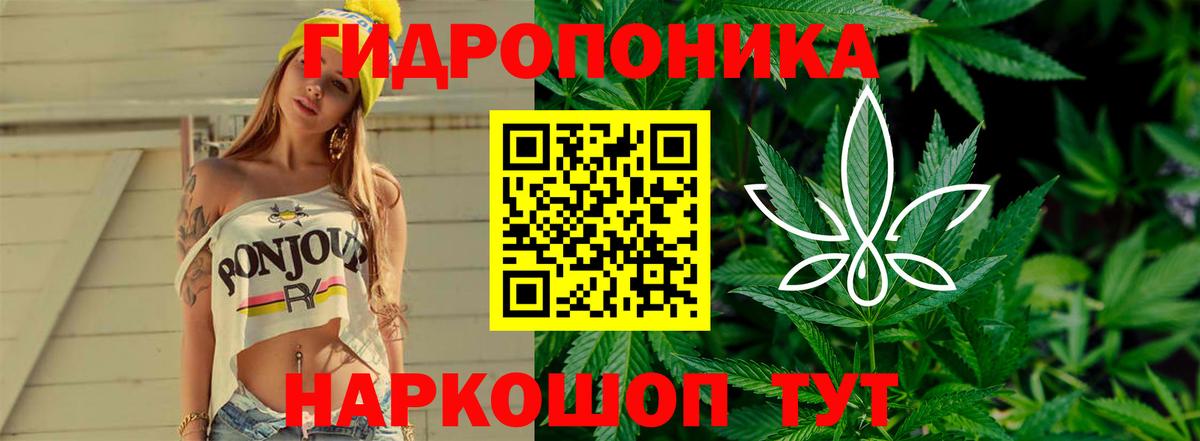Конопля MAZAR  МАРИХУАНА THC 21%  Долгопрудный  Каннабис OG Kush 